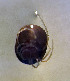  (Lebertia dubia - CCDB_39398_G04)  @11 [ ] CreativeCommons - Attribution Share-Alike (2022) Unspecified University of Montenegro, Faculty of Sciences and Mathematics, Department of Biology, Podgorica