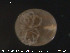  ( - HYDCA48)  @12 [ ] CreativeCommons - Attribution Non-Commercial Share-Alike (2015) NTNU University Museum, Department of Natural History NTNU University Museum, Department of Natural History