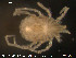  ( - HYDCA67)  @12 [ ] CreativeCommons - Attribution Non-Commercial Share-Alike (2015) NTNU University Museum, Department of Natural History NTNU University Museum, Department of Natural History