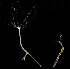  ( - 757)  @13 [ ] Copyright  P. Schuchert Natural History Museum of Geneva