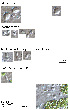  ( - X07)  @12 [ ] Copyright  P. Schuchert Natural History Museum of Geneva