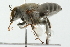  ( - 09BBHYM-025)  @13 [ ] CreativeCommons - Attribution (2009) Unspecified Centre for Biodiversity Genomics
