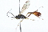  ( - 09BBHYM-163)  @12 [ ] CreativeCommons - Attribution (2009) Unspecified Centre for Biodiversity Genomics