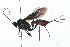  ( - 09BBHYM-199)  @14 [ ] CreativeCommons - Attribution (2009) Unspecified Centre for Biodiversity Genomics