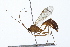  ( - 09BBHYM-254)  @14 [ ] CreativeCommons - Attribution (2009) Unspecified Centre for Biodiversity Genomics