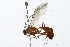  ( - 09BBHYM-255)  @13 [ ] CreativeCommons - Attribution (2009) Unspecified Centre for Biodiversity Genomics