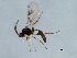  ( - 09BBHYM-956)  @13 [ ] CreativeCommons - Attribution (2010) Unspecified Centre for Biodiversity Genomics