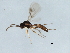  ( - 09BBHYM-966)  @13 [ ] CreativeCommons - Attribution (2010) Unspecified Centre for Biodiversity Genomics