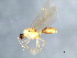  ( - 09BBHYM-1054)  @13 [ ] CreativeCommons - Attribution (2010) Unspecified Centre for Biodiversity Genomics