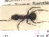  ( - HYMNI102)  @12 [ ] CreativeCommons - Attribution Non-Commercial Share-Alike (2013) Arnstein Staverlokk Norwegian Institute of Nature Research