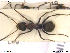  ( - HYMNI103)  @12 [ ] CreativeCommons - Attribution Non-Commercial Share-Alike (2013) Arnstein Staverlokk Norwegian Institute of Nature Research