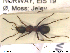  ( - HYMNI107)  @12 [ ] CreativeCommons - Attribution Non-Commercial Share-Alike (2013) Arnstein Staverlokk Norwegian Institute of Nature Research