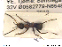  ( - HYMNI119)  @12 [ ] CreativeCommons - Attribution Non-Commercial Share-Alike (2013) Arnstein Staverlokk Norwegian Institute of Nature Research