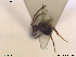  (Paralipsis - HYMNI173)  @12 [ ] CreativeCommons - Attribution Non-Commercial Share-Alike (2013) Arnstein Staverlokk Norwegian Institute of Nature Research