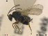  ( - HYMNI176)  @12 [ ] CreativeCommons - Attribution Non-Commercial Share-Alike (2013) Arnstein Staverlokk Norwegian Institute of Nature Research