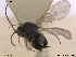  ( - HYMNI177)  @12 [ ] CreativeCommons - Attribution Non-Commercial Share-Alike (2013) Arnstein Staverlokk Norwegian Institute of Nature Research
