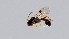  ( - EM11)  @11 [ ] Unspecified (default): All Rights Reserved  Unspecified Unspecified