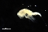  ( - 0119.1)  @11 [ ] Creative Commons BY NC SA (2020) University of Bergen Natural History Collections