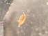  ( - 0139.1)  @11 [ ] Creative Commons BY NC SA (2021) University of Bergen Natural History Collections