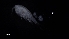  ( - 0177.1)  @11 [ ] Creative Commons BY NC SA (2020) University of Bergen Natural History Collections