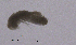  ( - 0503.1)  @11 [ ] Creative Commons BY NC SA (2022) University of Bergen Natural History Collections
