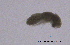  ( - 0506.1)  @11 [ ] Creative Commons BY NC SA (2022) University of Bergen Natural History Collections