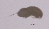  ( - 0554.1)  @11 [ ] Creative Commons BY NC SA (2022) University of Bergen Natural History Collections