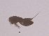  ( - 0557.1)  @11 [ ] Creative Commons BY NC SA (2022) University of Bergen Natural History Collections