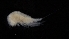  ( - 0792.1)  @11 [ ] Creative Commons BY NC SA (2021) University of Bergen Natural History Collections