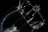  ( - HYPNO_004)  @11 [ ] CreativeCommons - Attribution Non-Commercial Share-Alike (2015) Aino Hosia University Museum of Bergen, Natural History Collections