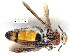  ( - gvc0449-1L)  @11 [ ] Copyright (2004) Unspecified Unspecified