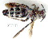  ( - gvc0449-1L)  @11 [ ] Copyright (2004) Unspecified Unspecified