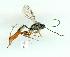  ( - gvc10120-1L)  @12 [ ] Copyright (2004) Unspecified Unspecified