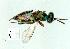  ( - gvc10188-1L)  @11 [ ] Copyright (2004) Unspecified Unspecified