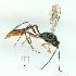  ( - gvc10259-1L)  @12 [ ] Copyright (2004) Unspecified Unspecified