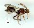  ( - gvc10260-1L)  @13 [ ] Copyright (2004) Unspecified Unspecified