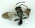  ( - gvc12422-1L)  @12 [ ] Copyright (2004) Unspecified Unspecified