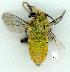  ( - gvc12539-1L)  @14 [ ] Copyright (2004) Unspecified Unspecified
