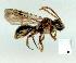  ( - gvc12594-1L)  @12 [ ] Copyright (2004) Unspecified Unspecified