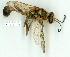  ( - gvc12807-1L)  @14 [ ] Copyright (2004) Unspecified Unspecified