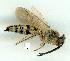  ( - gvc12912-1L)  @11 [ ] Copyright (2004) Unspecified Unspecified