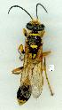  ( - gvc12980-1L)  @12 [ ] Copyright (2004) Unspecified Unspecified
