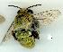  ( - gvc13335-1L)  @15 [ ] Copyright (2004) Unspecified Unspecified