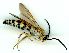  ( - gvc4346-1L)  @11 [ ] Copyright (2004) Unspecified Unspecified