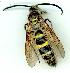  ( - gvc5443-1L)  @14 [ ] Copyright (2004) Unspecified Unspecified