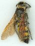  ( - gvc5942-1L)  @14 [ ] Copyright (2004) Unspecified Unspecified