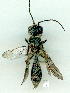  ( - gvc9306-1L)  @12 [ ] Copyright (2004) Unspecified Unspecified