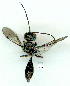  ( - gvc9337-1L)  @12 [ ] Copyright (2004) Unspecified Unspecified