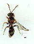  ( - gvc9338-1L)  @11 [ ] Copyright (2004) Unspecified Unspecified