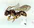  ( - gvc9339-1L)  @11 [ ] Copyright (2004) Unspecified Unspecified
